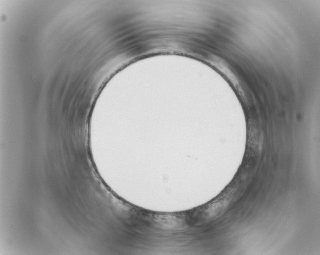 X0000089420807200706291031