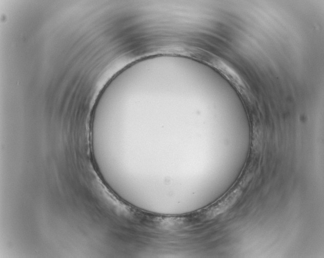 X0000089420808200706291031