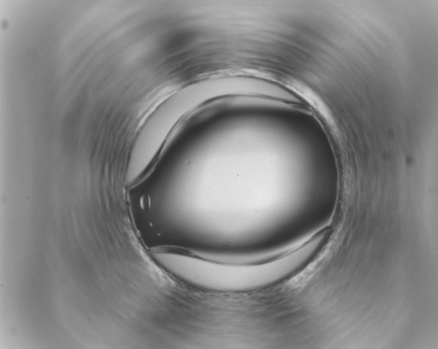 X0000089420809200706291031