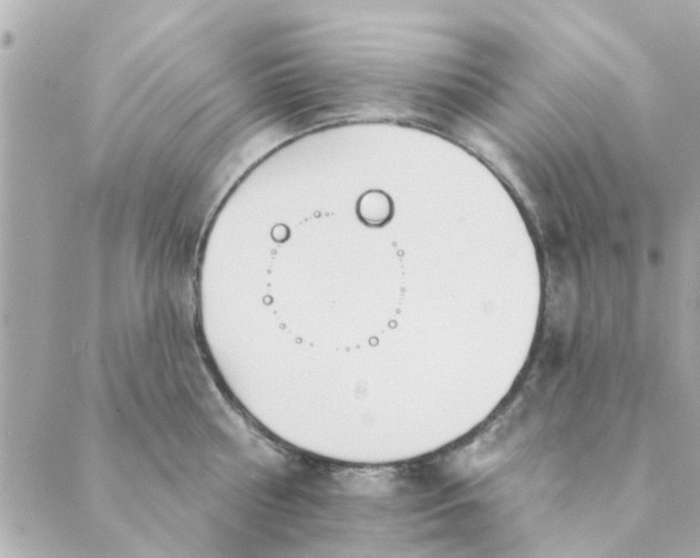 X0000089420810200706291031