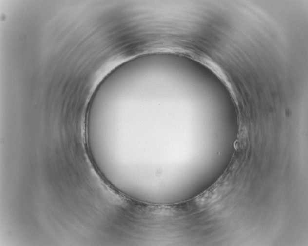 X0000089420811200706291031