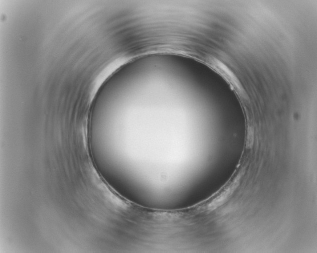 X0000089420812200706291031