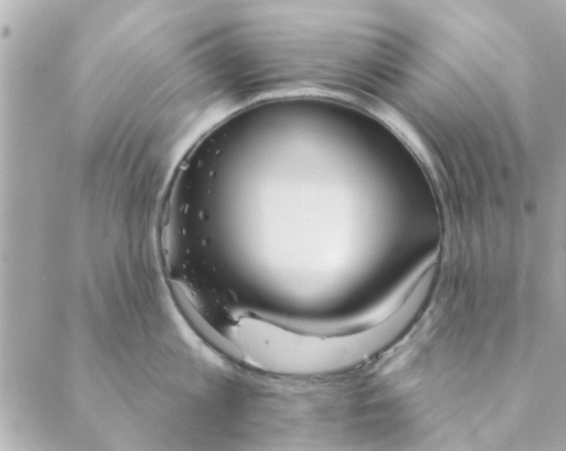 X0000089420813200706291031