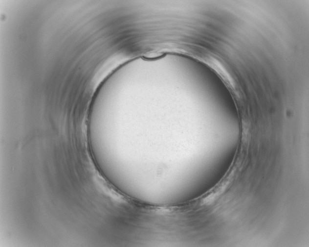 X0000089420814200706291031