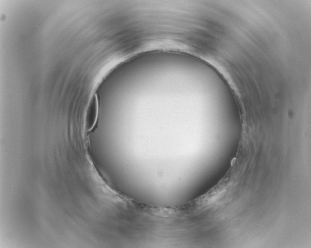 X0000089420815200706291031