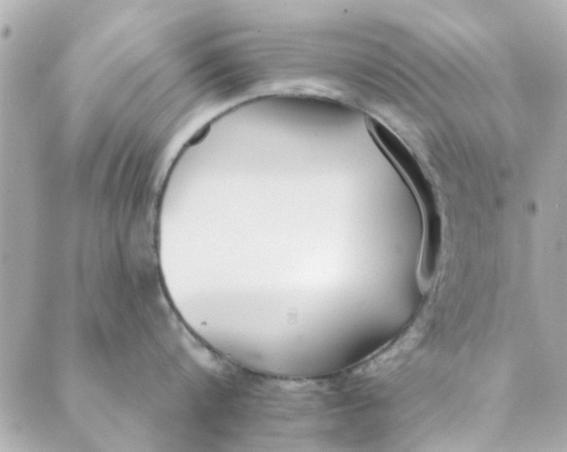 X0000089420816200706291031