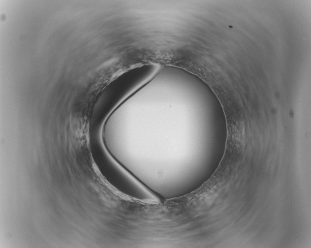 X0000089420818200706291030