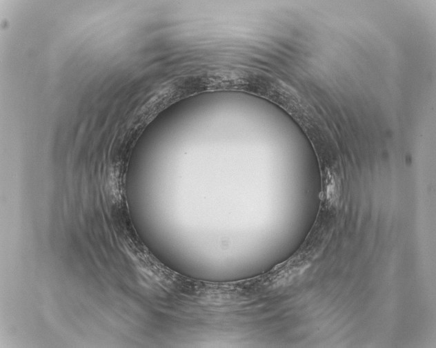 X0000089420819200706291030