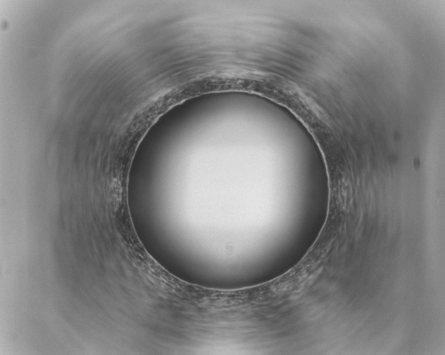 X0000089420821200706291030