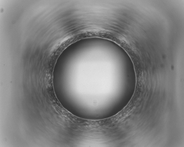 X0000089420822200706291030