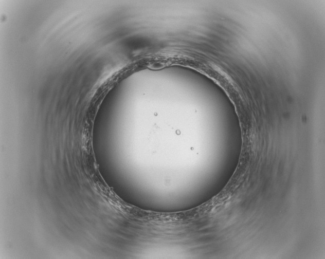 X0000089420823200706291030