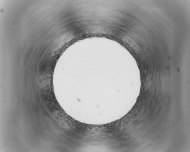 X0000089420824200706291030