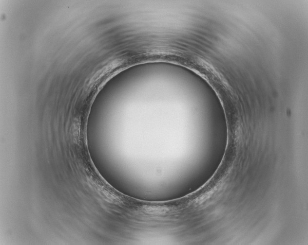 X0000089420825200706291030