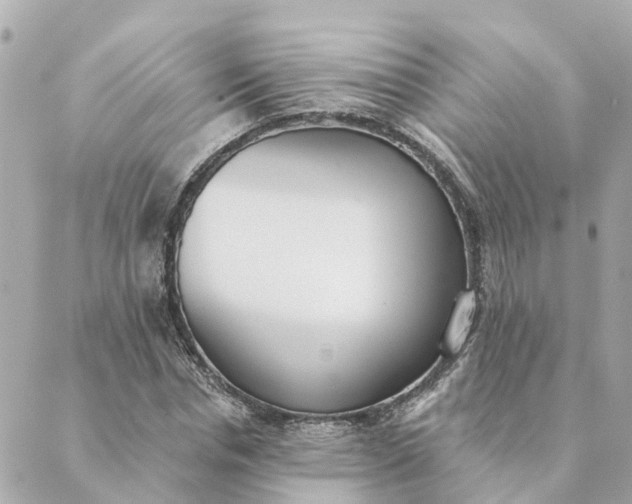 X0000089420826200706291030