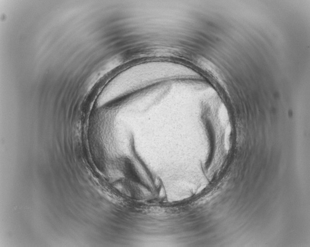 X0000089420827200706291030