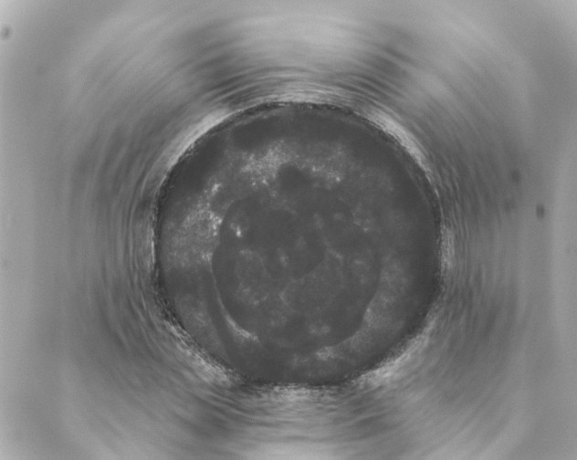 X0000089420829200706291031