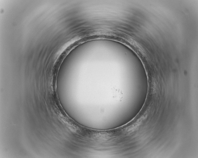 X0000089420830200706291031