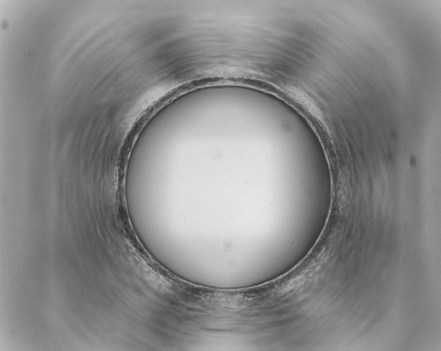 X0000089420831200706291031