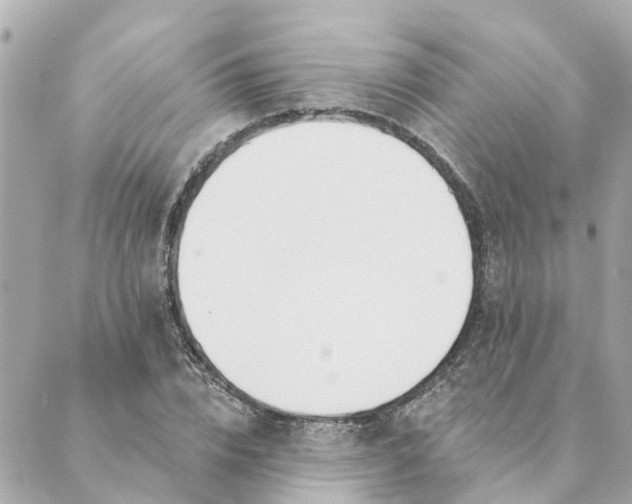 X0000089420832200706291031