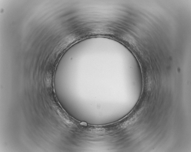 X0000089420833200706291031