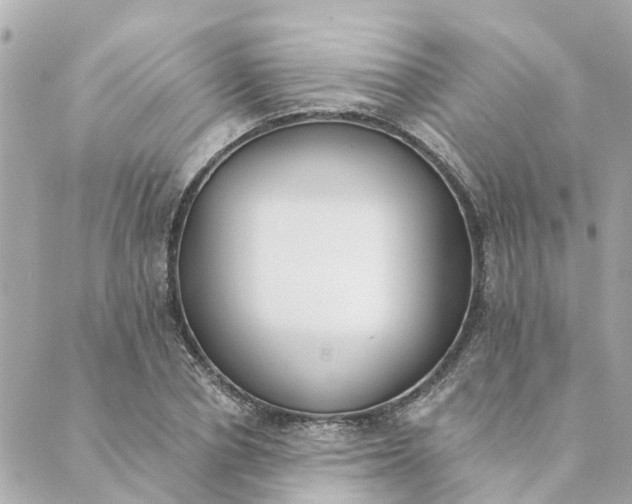 X0000089420834200706291031