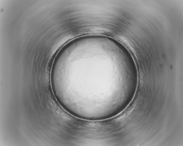 X0000089420835200706291031