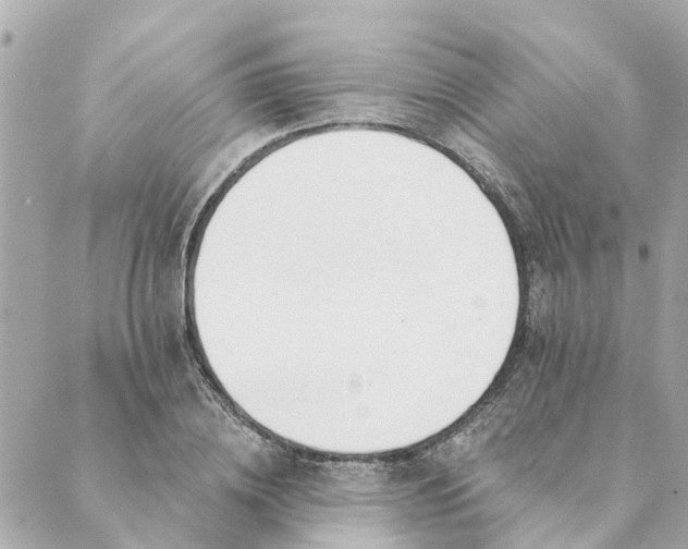 X0000089420836200706291031