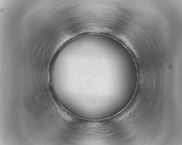 X0000089420837200706291031