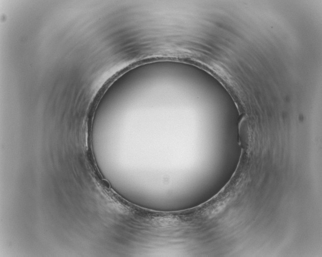 X0000089420838200706291031