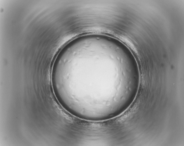 X0000089420839200706291031