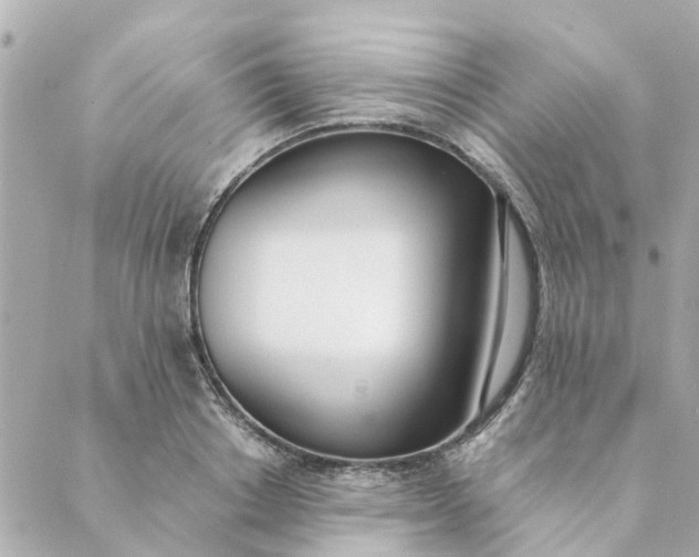 X0000089420842200706291031