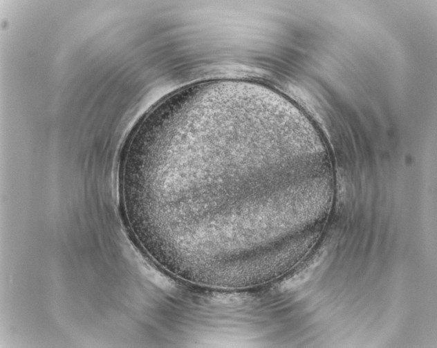 X0000089420843200706291031