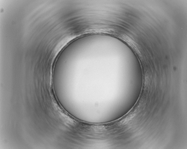 X0000089420844200706291031