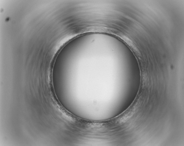 X0000089420846200706291031