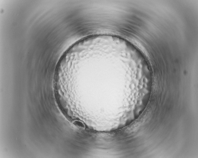 X0000089420847200706291031