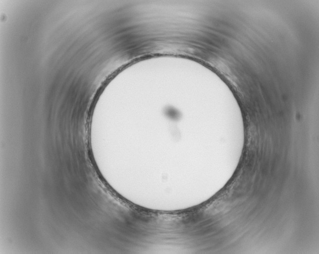 X0000089420848200706291031