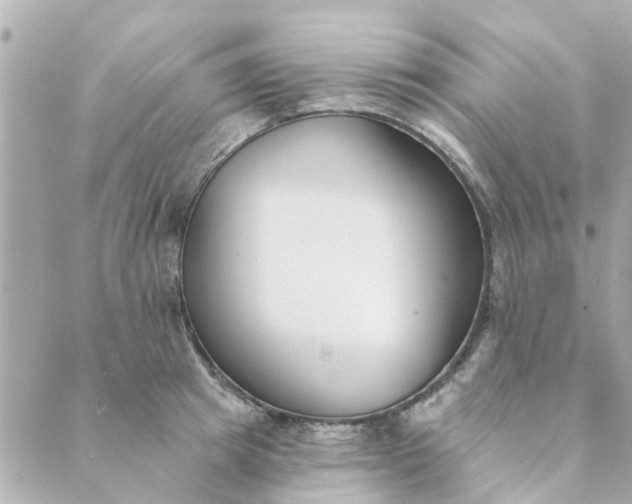 X0000089420849200706291031