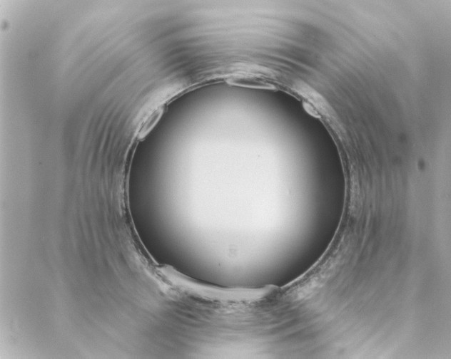 X0000089420850200706291031