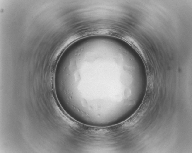 X0000089420851200706291031