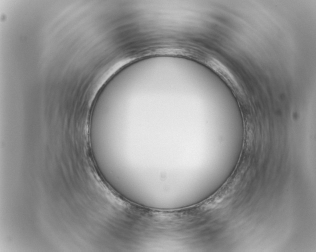 X0000089420852200706291031