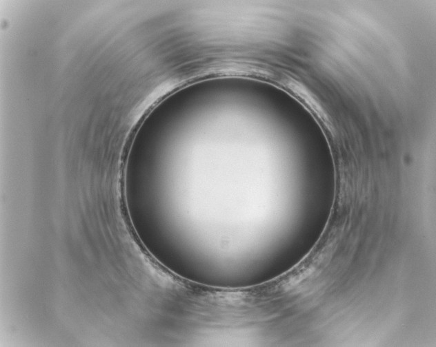 X0000089420853200706291031