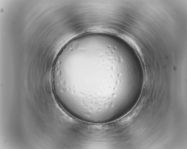 X0000089420855200706291031