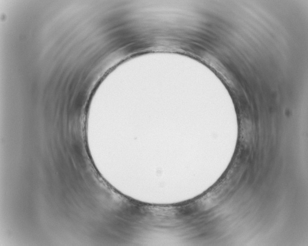 X0000089420856200706291031