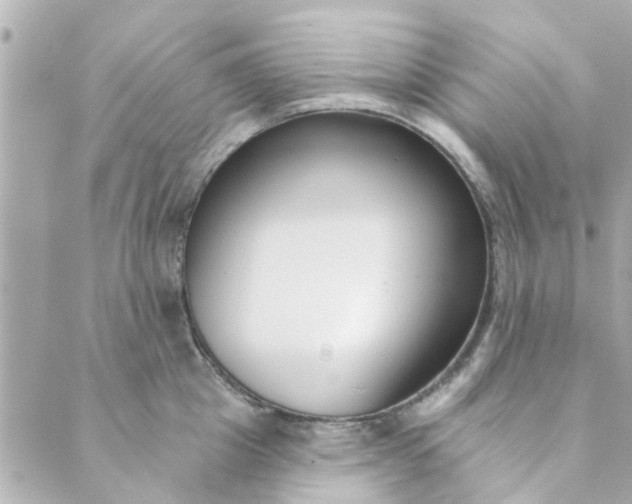 X0000089420857200706291031