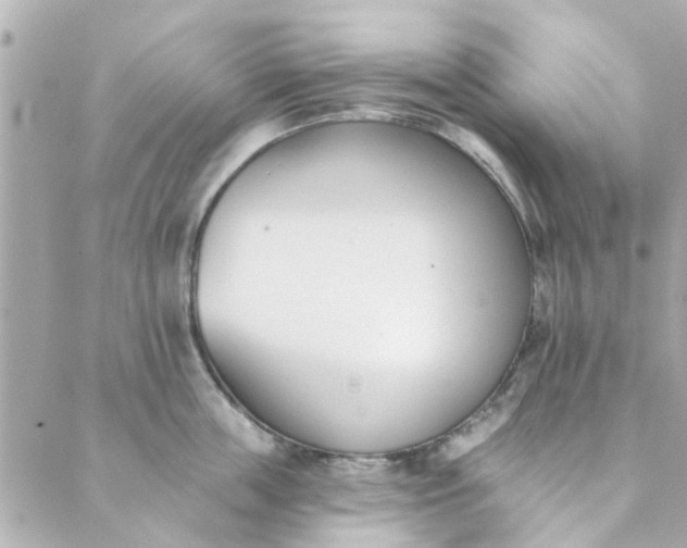 X0000089420859200706291031