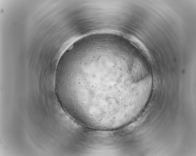 X0000089420860200706291031