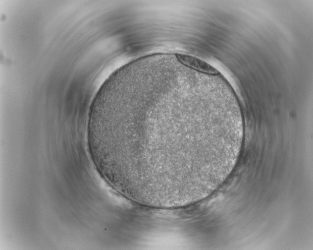 X0000089420861200706291031