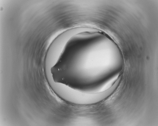 X0000089420862200706291031