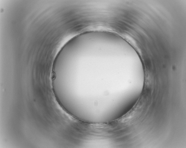 X0000089420863200706291031