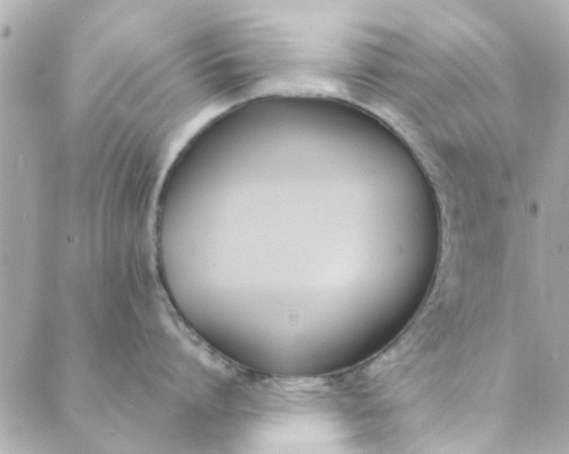 X0000089420864200706291031